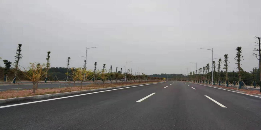 20250219121483.png 21152431438.png