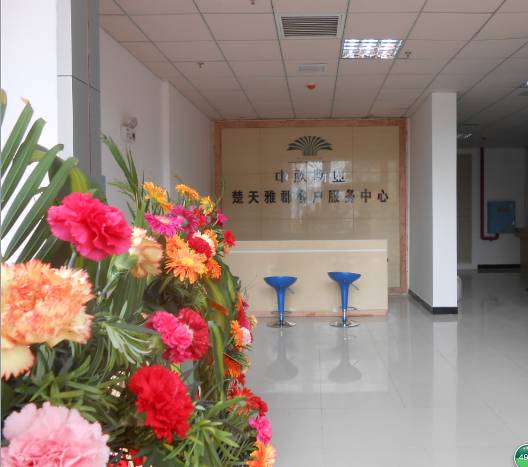 20250219140567.jpg 151111864.jpg