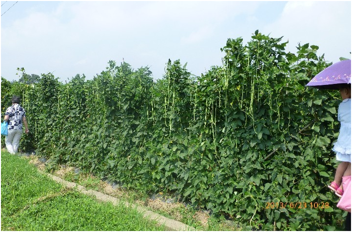 20250219926947.png 1293256210.png