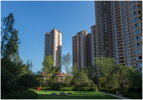 20250220119675.png 1911344068.png